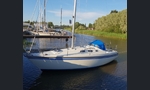 Sunwind 311-kuva-8